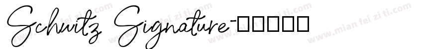 Schwitz Signature字体转换